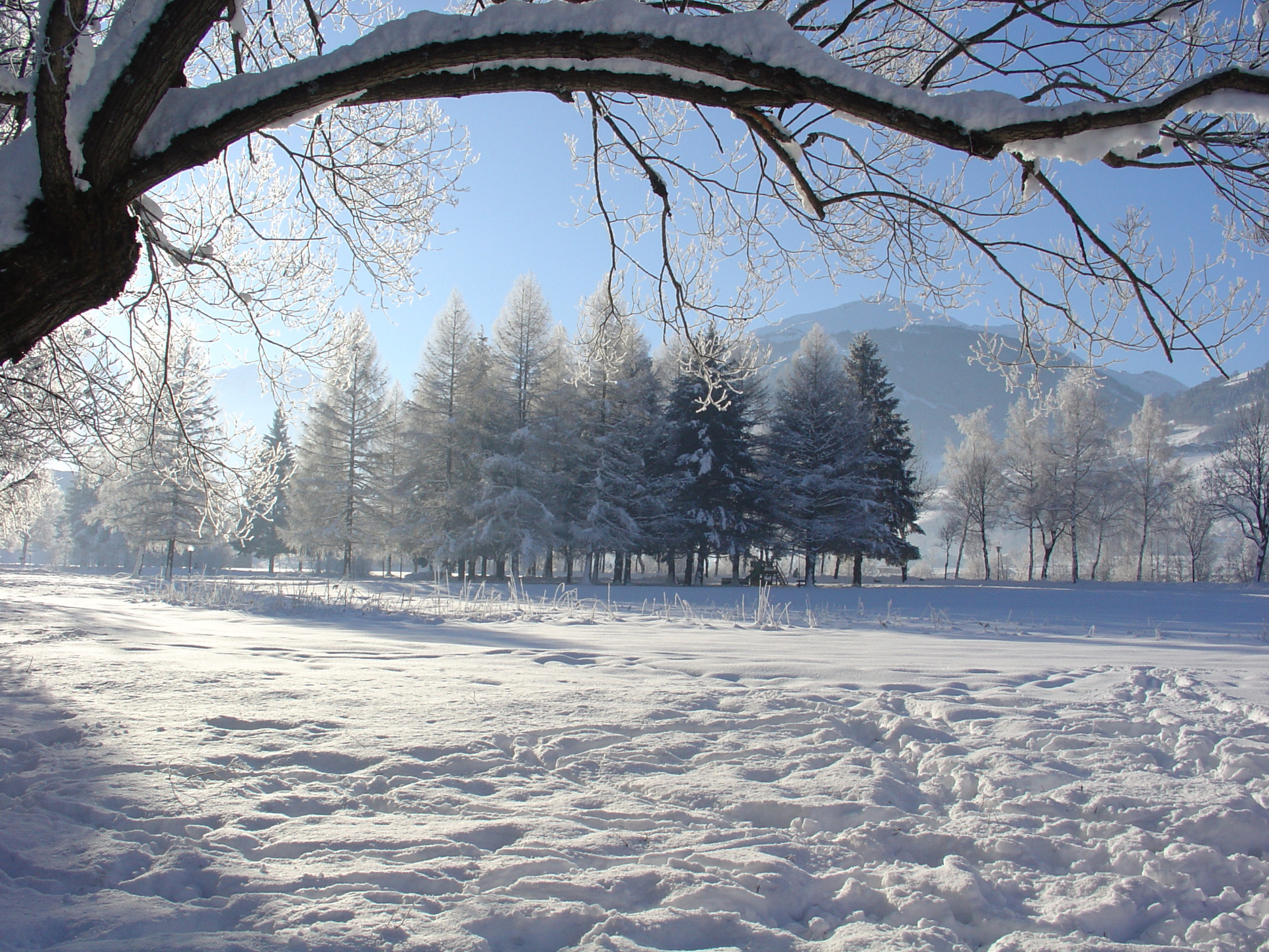 Winterspaziergang